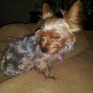 Meet your Posher, Tammy